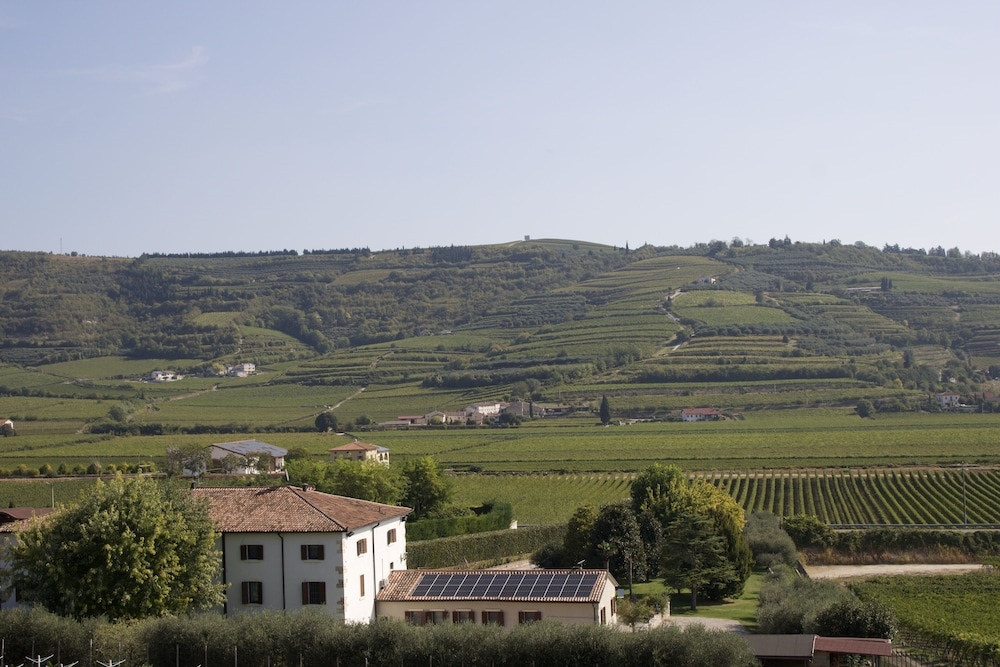 Verdeolivo1876 - Apartments With Pool