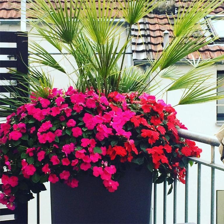 Apartment in Pempelfort - Central