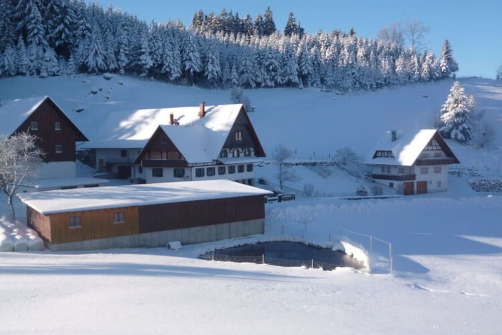 Holiday Apartment Ferienhof Benz