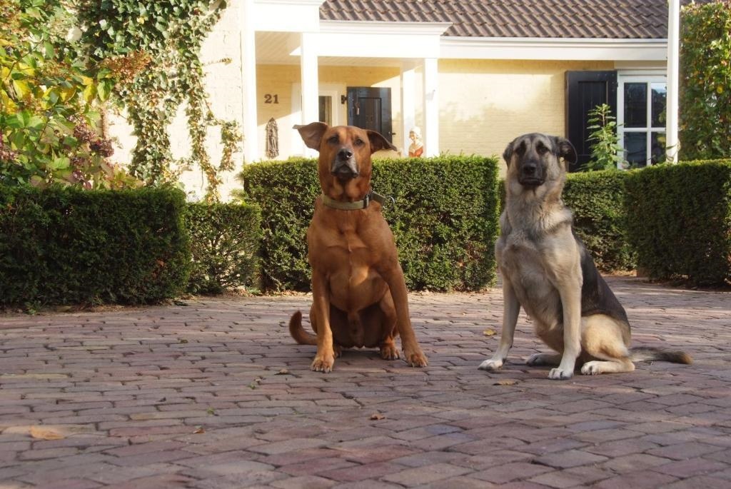 Beck Bed & Breakfast