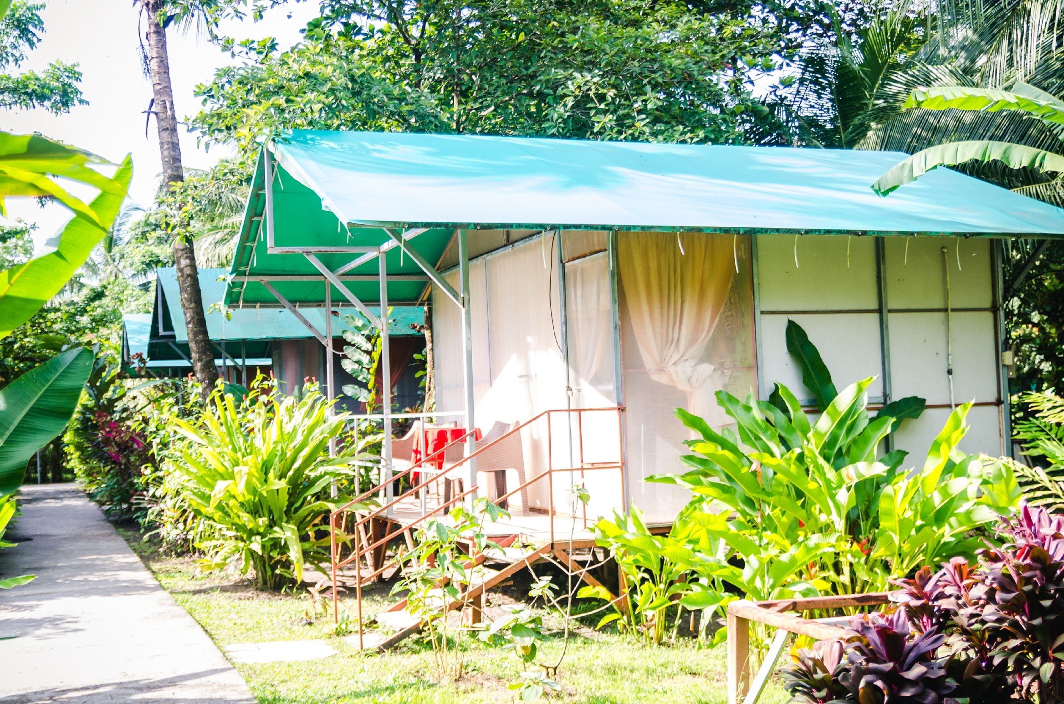 Hotel Tortuguero Beachfront