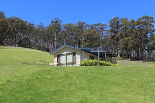 Cherryview Cygnet