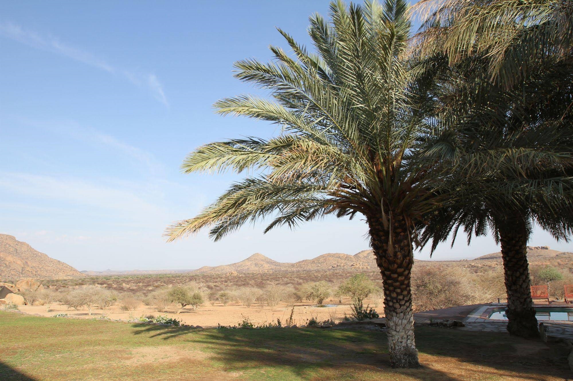 Ai Aiba - The Rock Painting Lodge