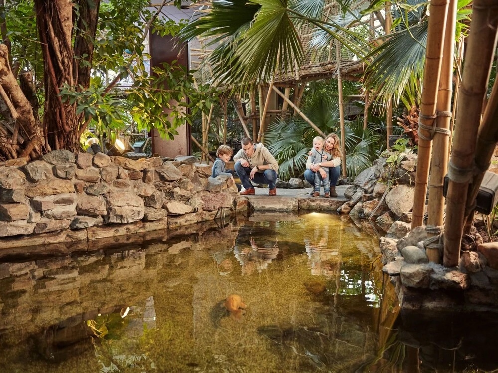 Center Parcs De Huttenheugte