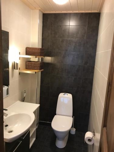 Starflower Of Ylläs