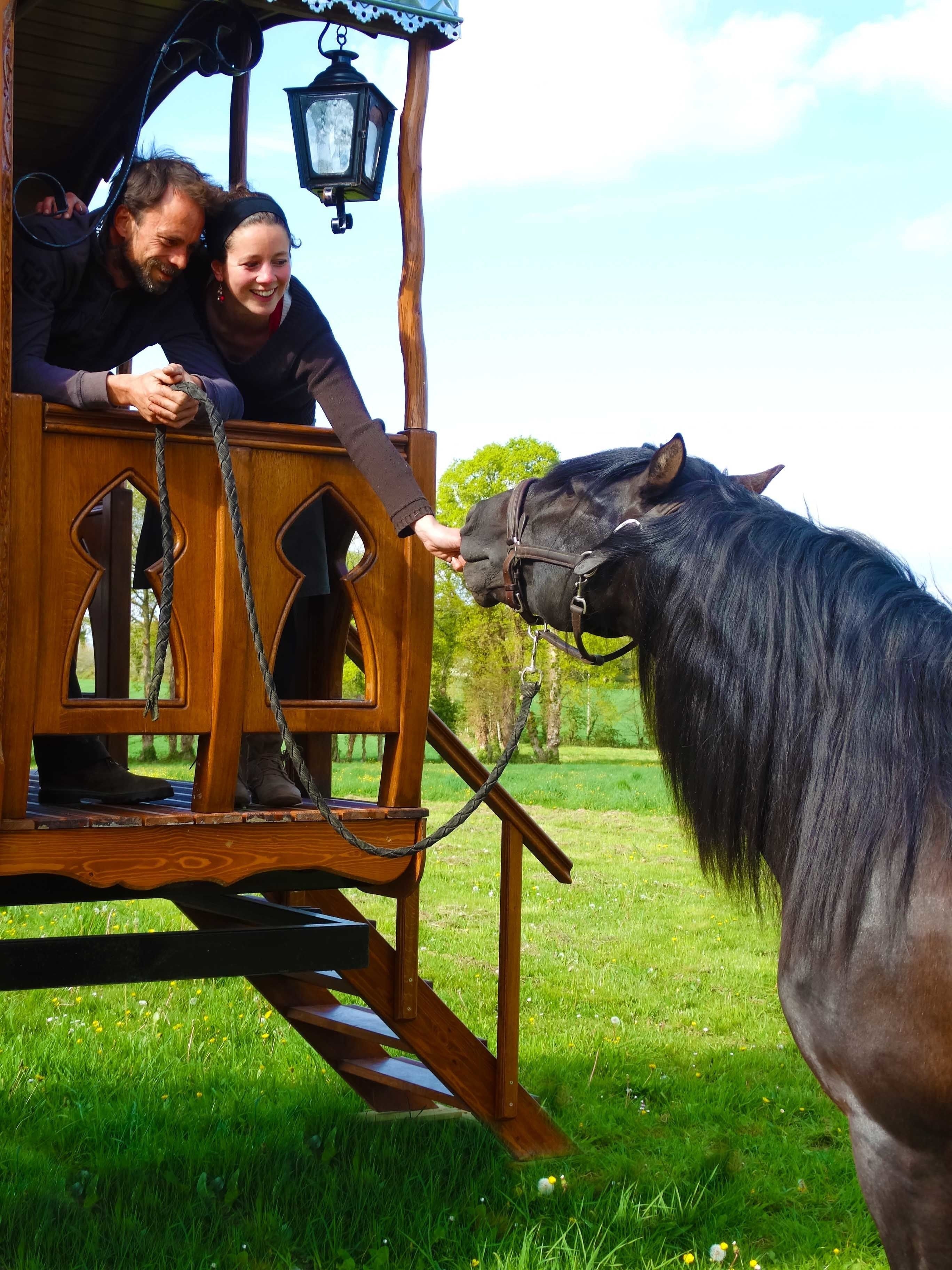 Une Roulotte Et Des Chevaux