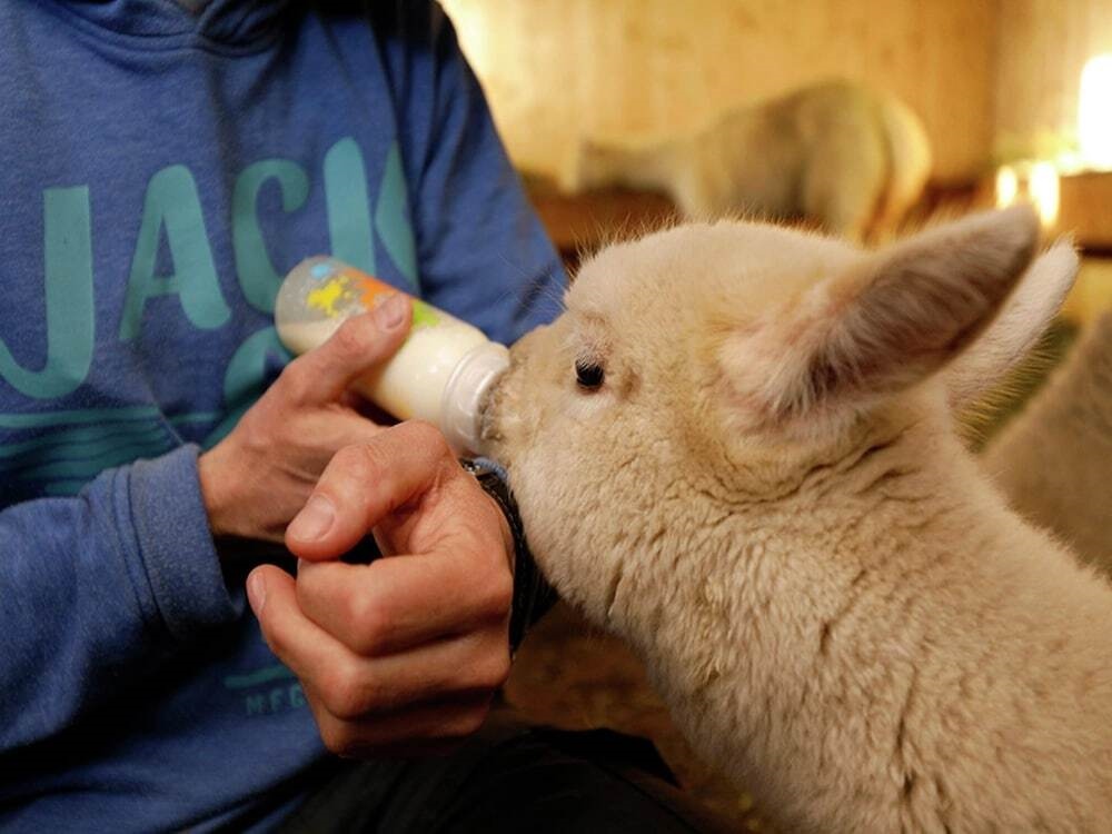 Beautiful Apartment in Westendorf With Sauna