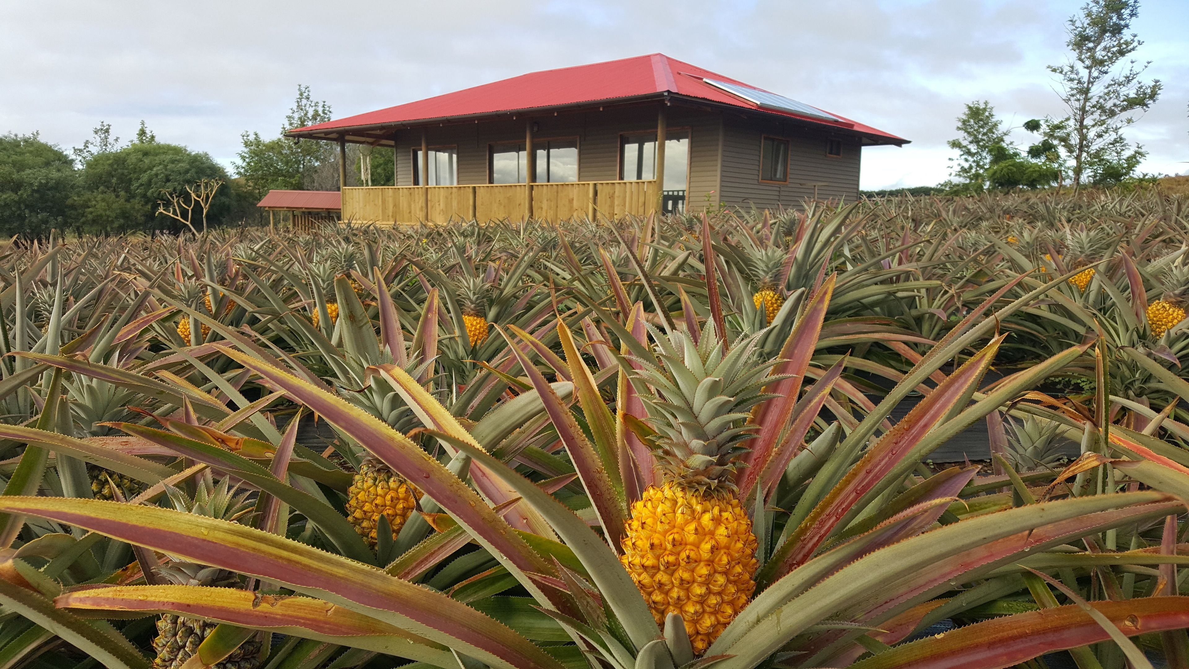 Maunga Roa Eco Lodge