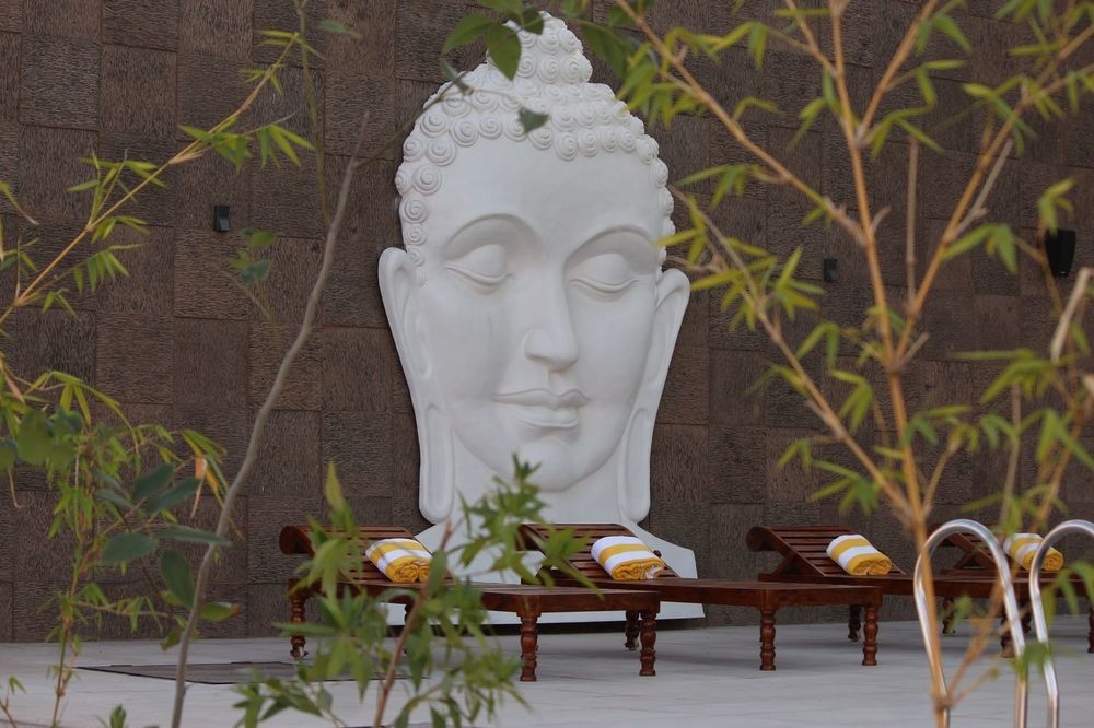 Clarks Safari Ranthambore