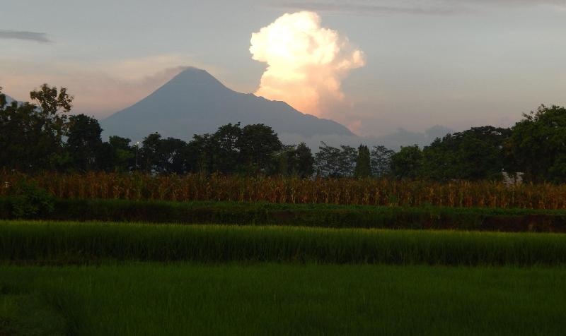 Alamanda Family Villas & Pool