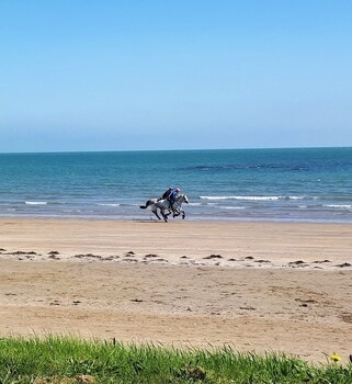 Seaside Holiday Apartments