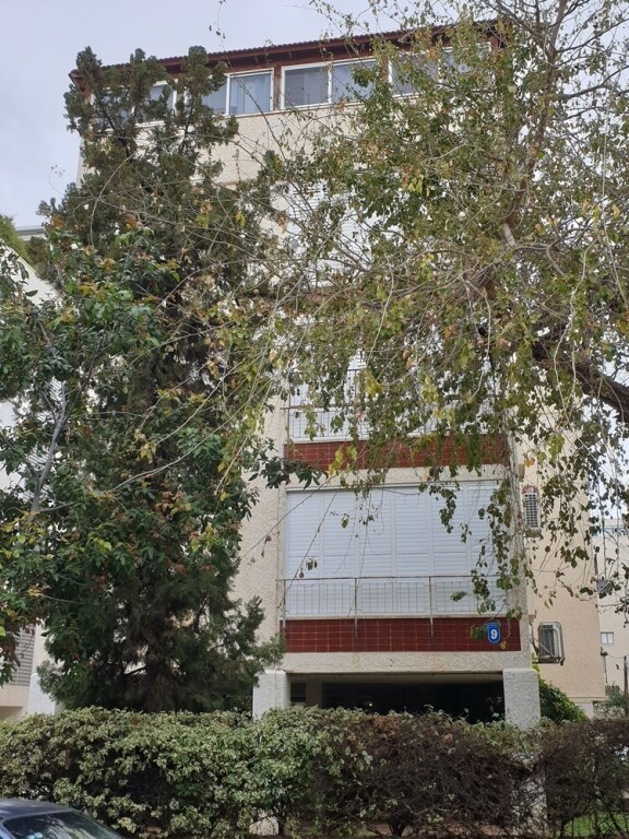 Comfortable Apartment