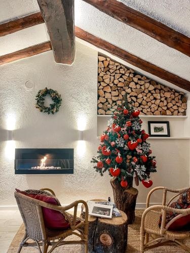 Maison de la Montagne