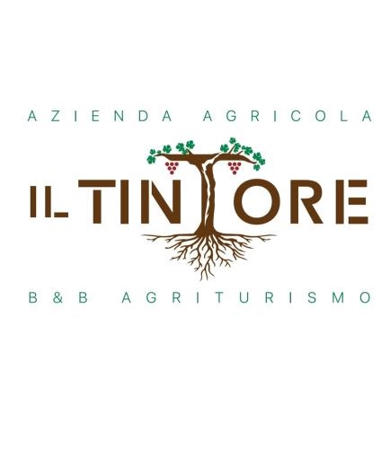 B&B Il Tintore