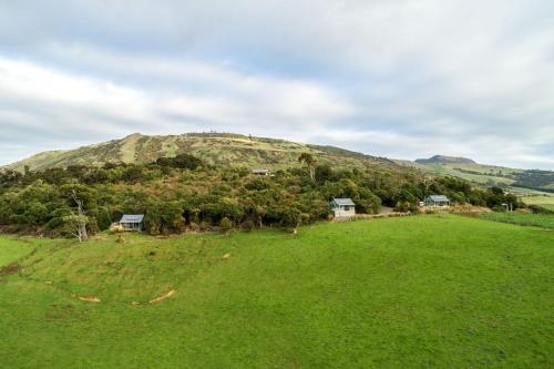Catlins Mohua Park