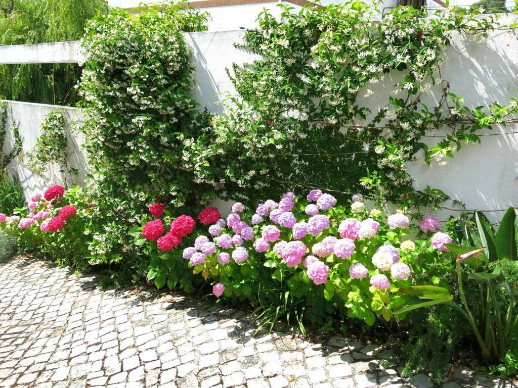 Boutique Hotel Casa do Outeiro - Arts & Crafts