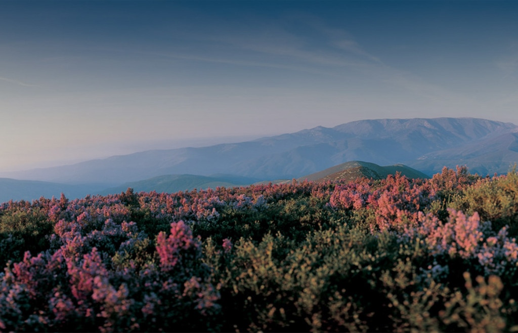 Abrigo Da Montanha Hotel Rural & Spa