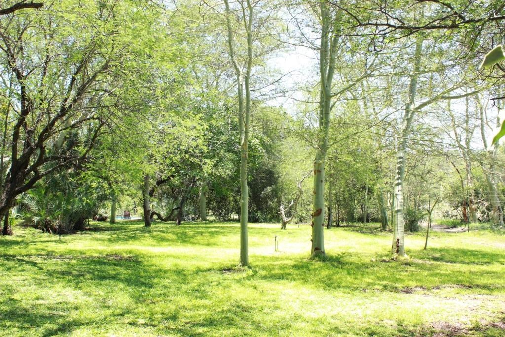 Masodini Private Game Lodge