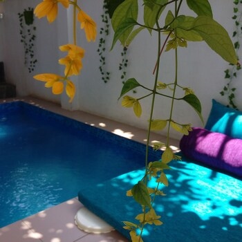 Villa Seven Panadura