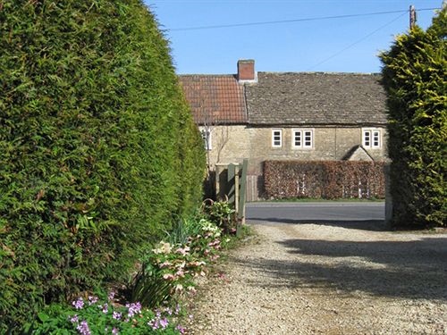 London Road Garden Annex