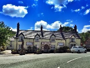 The Hand at Llanarmon
