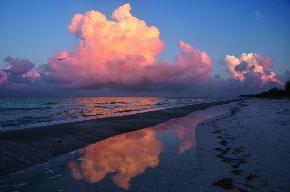 Beach Castle Resort By Rva