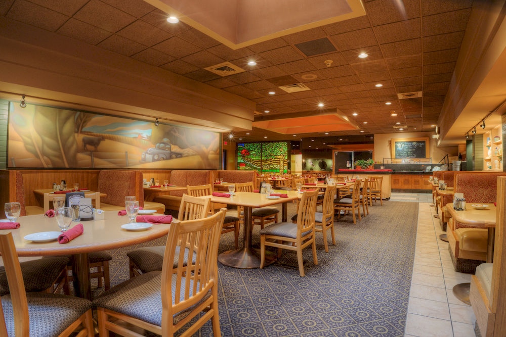 Wyndham Garden Southgate