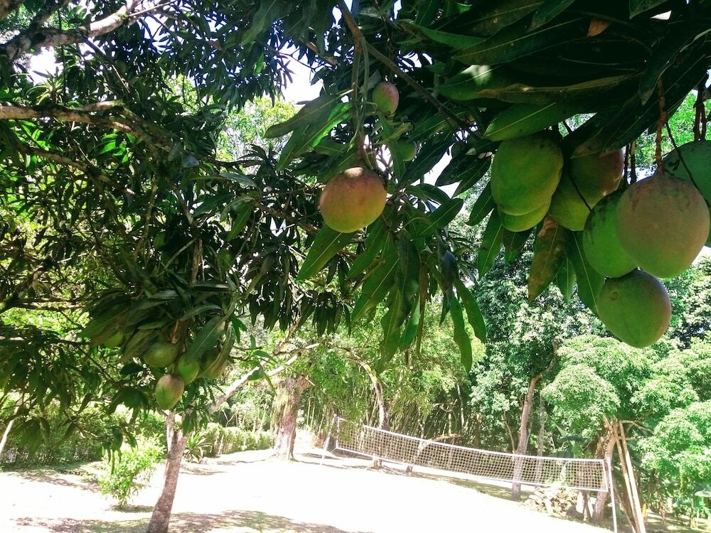 Hotel Playa By Marbar Hoteles