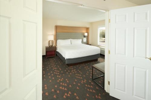 Holiday Inn & Suites ANN ARBOR UNIV. MICHIGAN AREA