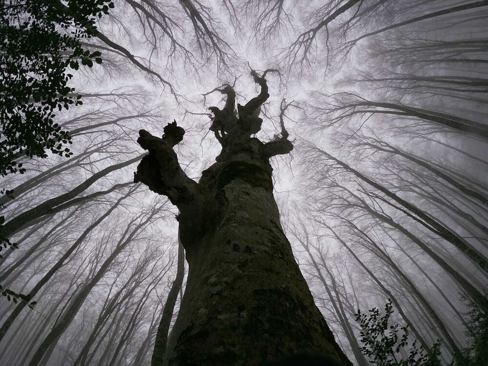 Casa Vacanza Margherita