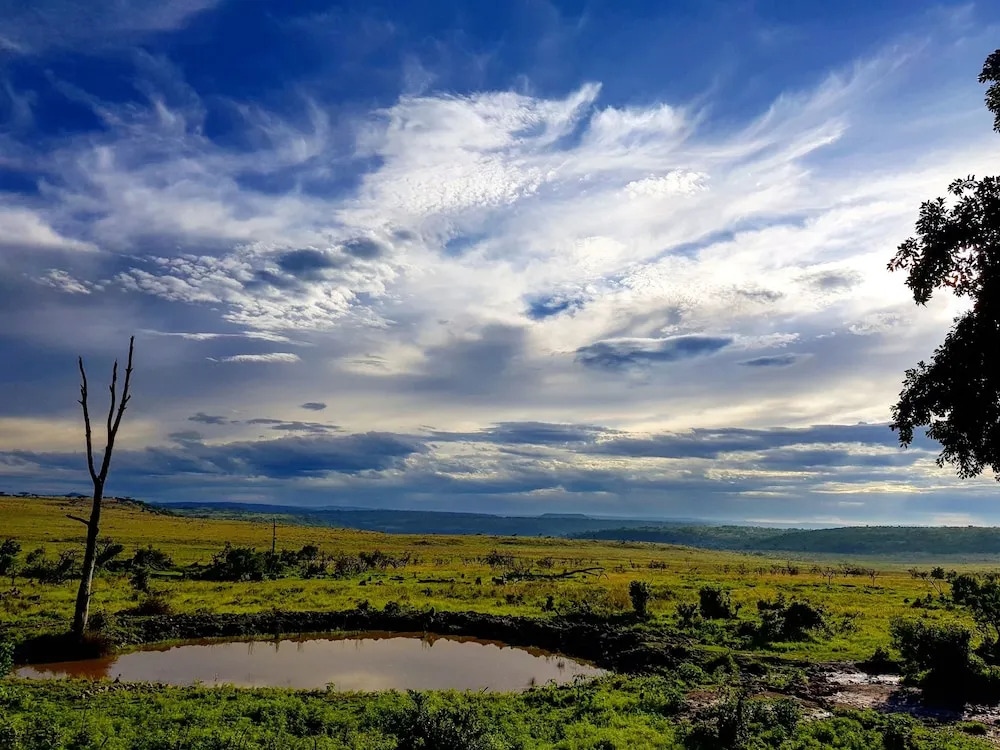 Nambiti Plains Private Game Lodge