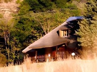 LIONSROCK Big Cat Sanctuary