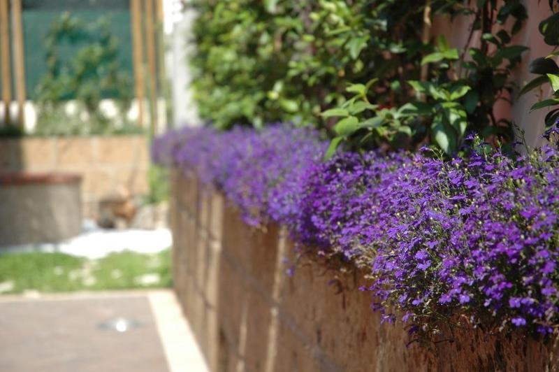 Residenza Glave - Albergo Diffuso