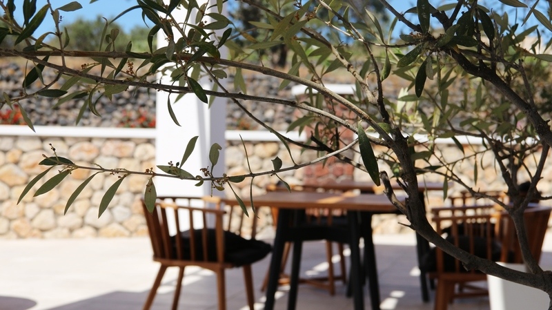 Astro Palace Hotel & Spa