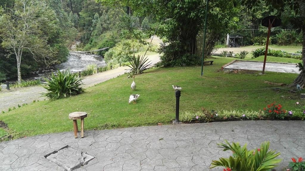 Casa Grande Bambito Resort