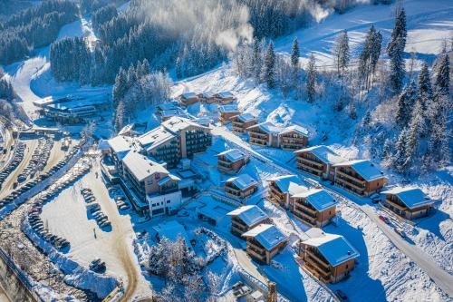 Chalet Dorf Wagrain Adapura