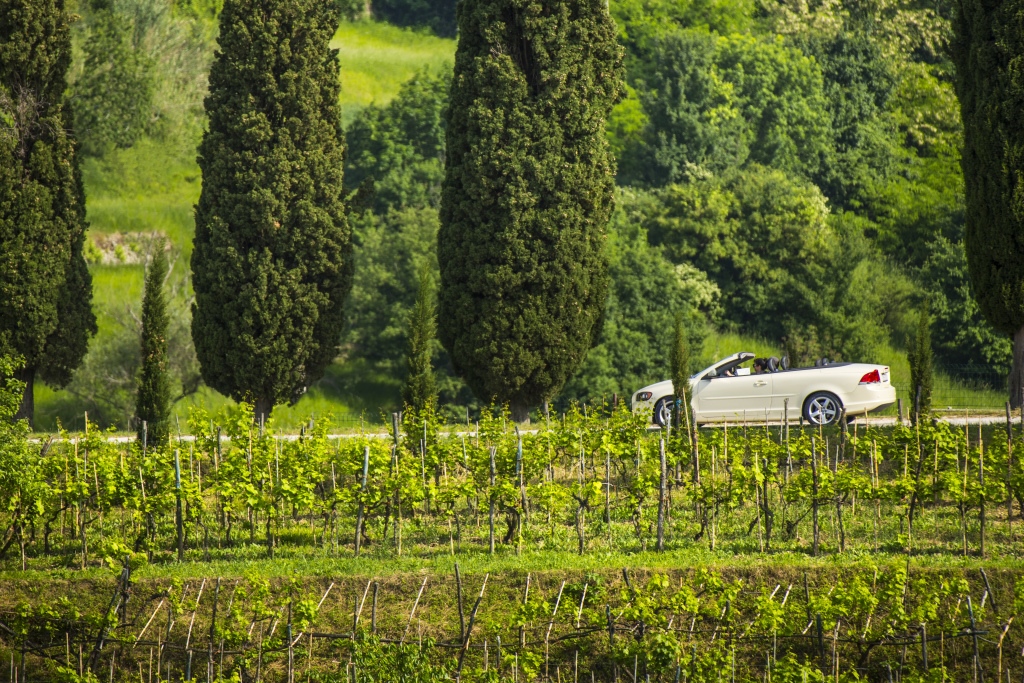 Villa Palazzo Angelica