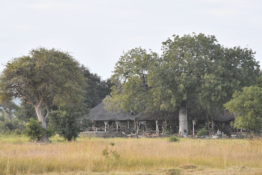 Mikumi Wildlife Camp