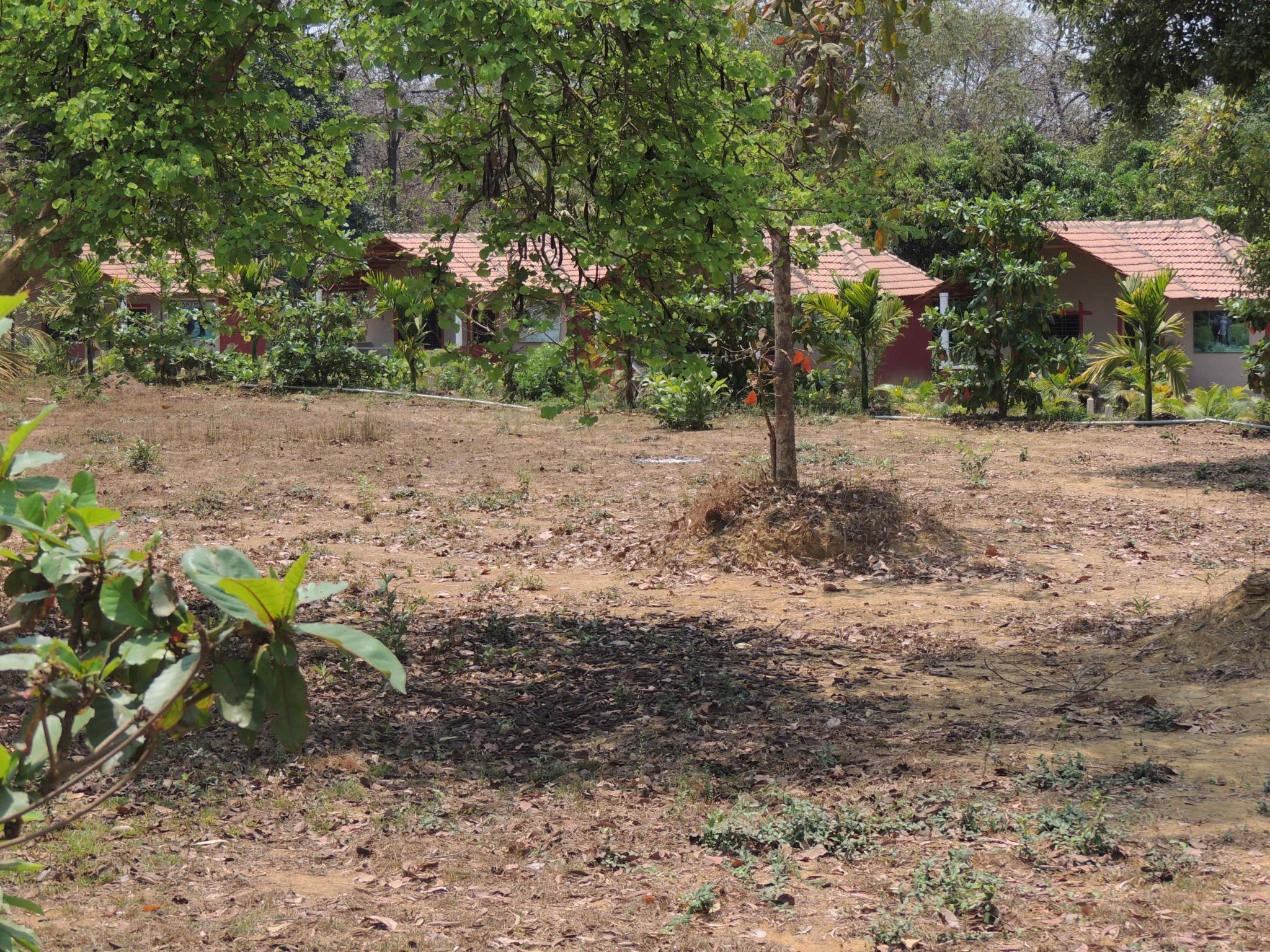 Jungle Nest Homestay