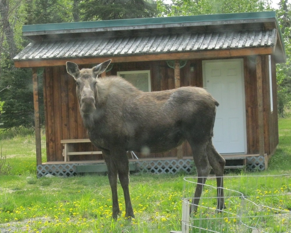 Whispering Winds Retreat B&B