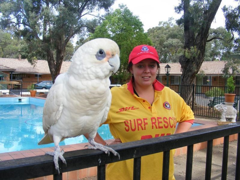 Matthew Flinders Motor Inn