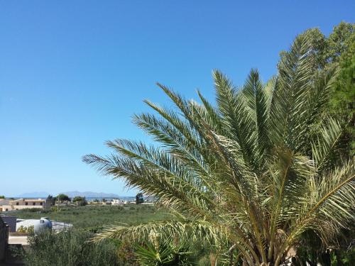 Baglio Il Giovinetto