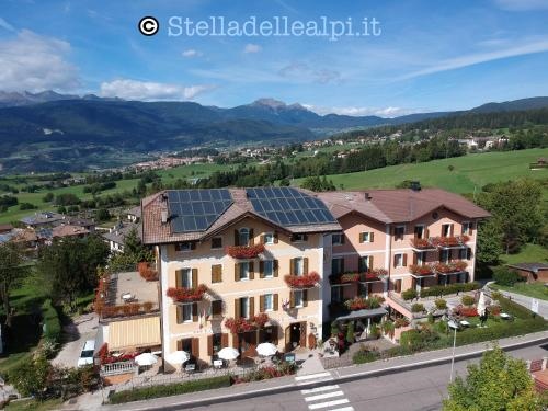 Stella delle Alpi