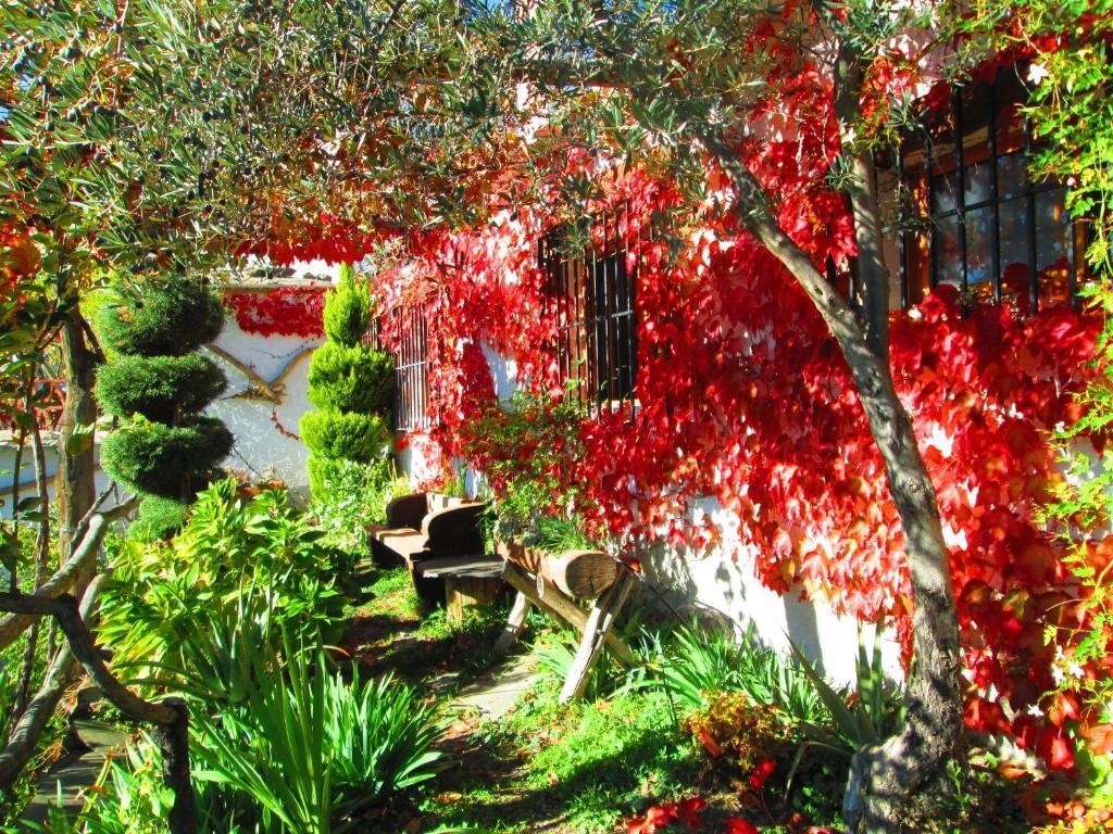 Country House Cortijo Brazal La Ventaja