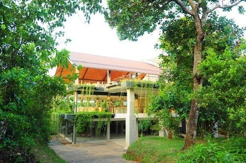 Kithul Kanda Mountain Resort