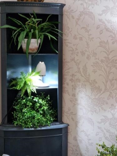 Eagle View Guest House