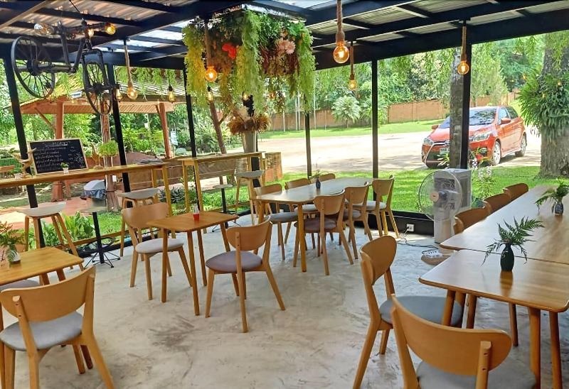 Bamboo Grove Chiang Mai