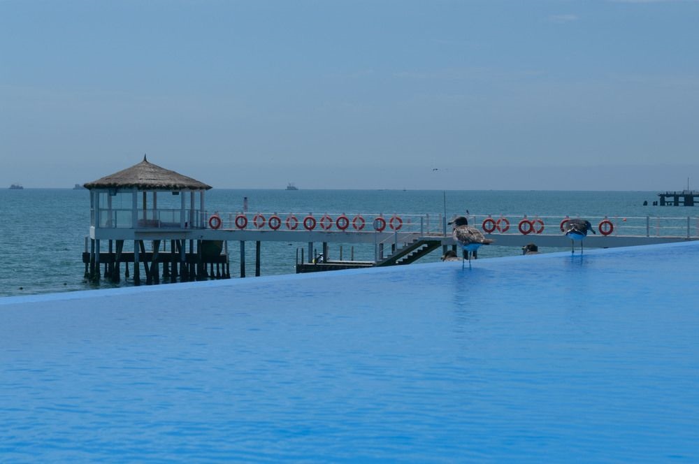 Apartamento Frente Islas Ballestas