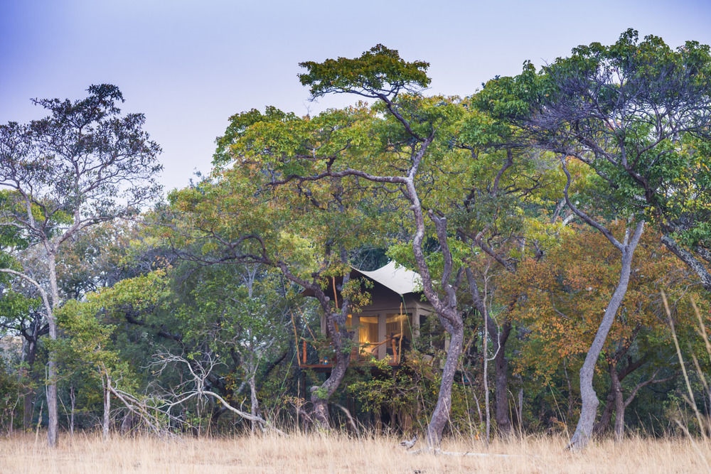 Mukambi Fig Tree Bush Camp – All Inclusive