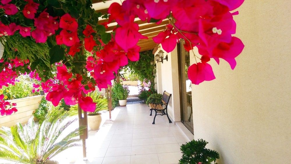 Droushia Holiday Apartments